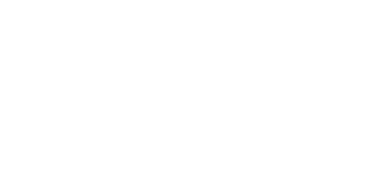 vision